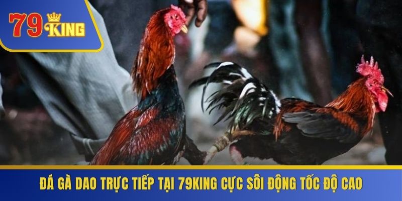 Đá Gà Dao Trực Tiếp
