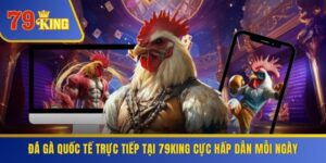 Đá Gà Quốc Tế Trực Tiếp