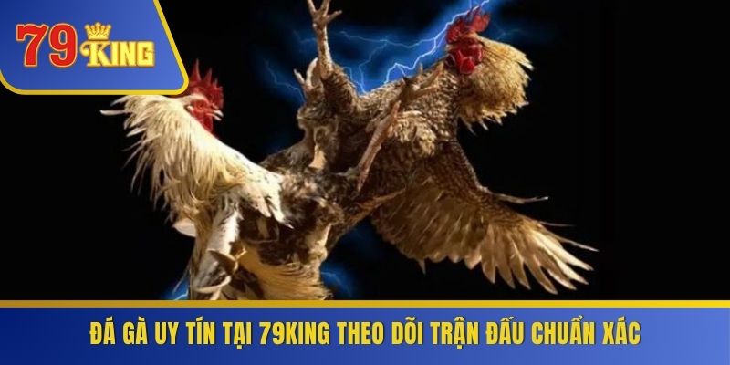Đá Gà Uy Tín