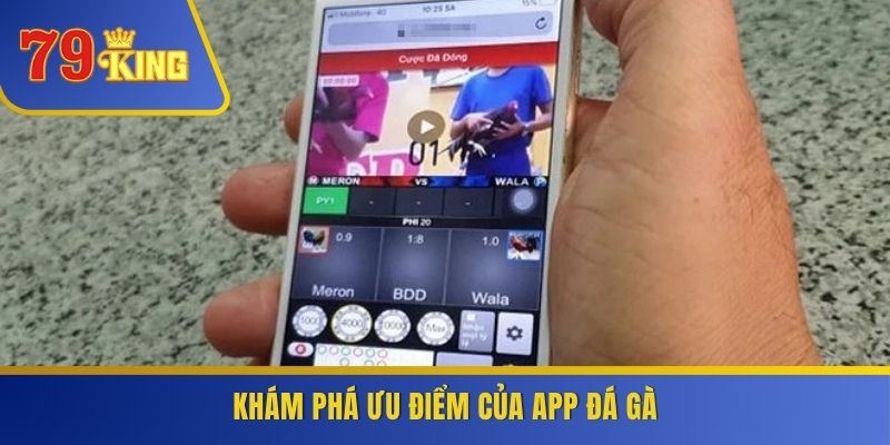 Khám phá ưu điểm của app đá gà