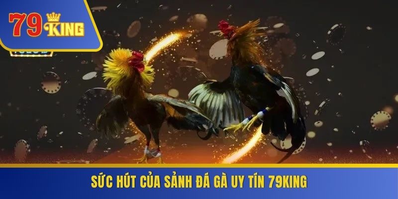 Sức hút của sảnh đá gà uy tín 79KING