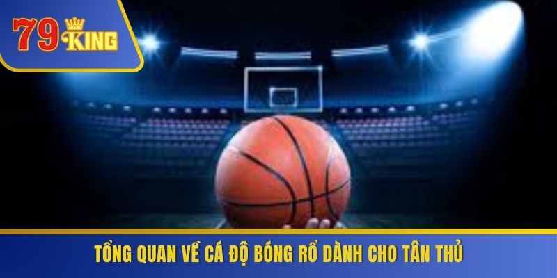 Tổng quan về cá độ bóng rổ dành cho tân thủ