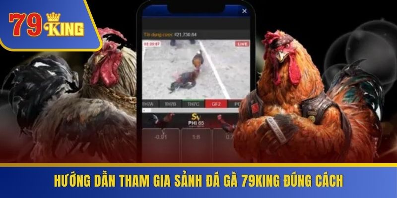 Hướng dẫn tham gia sảnh đá gà 79KING đúng cách
