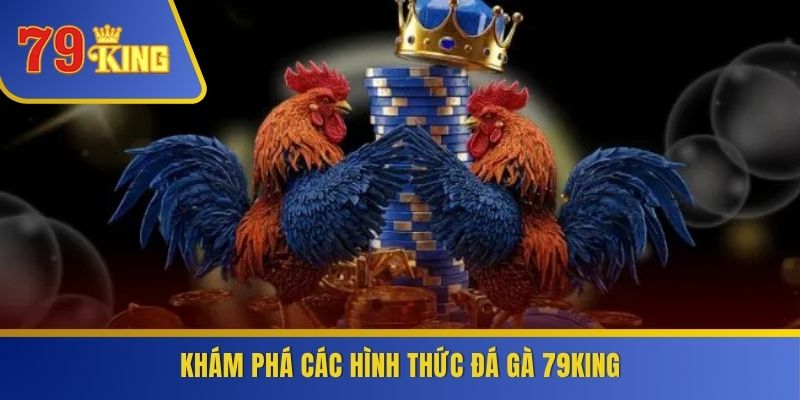 Khám phá các hình thức đá gà 79KING