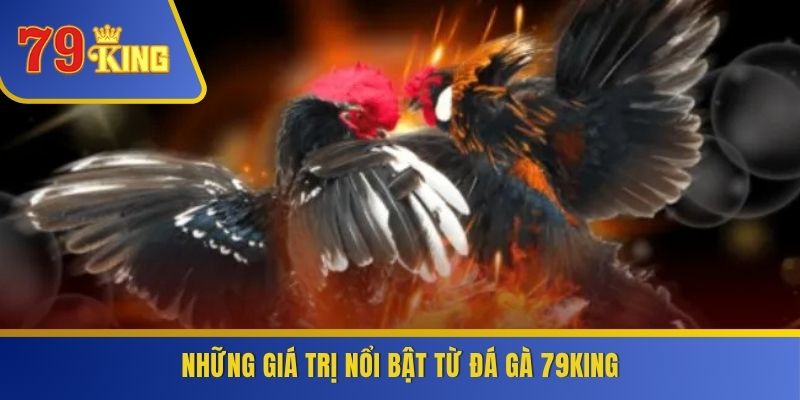 Những giá trị nổi bật từ đá gà 79KING